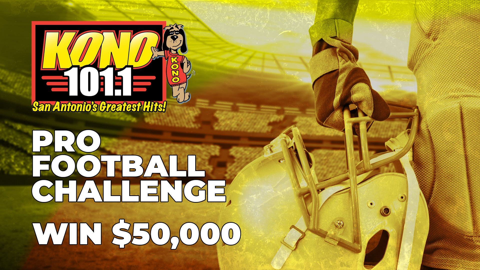 Pro Football Challenge